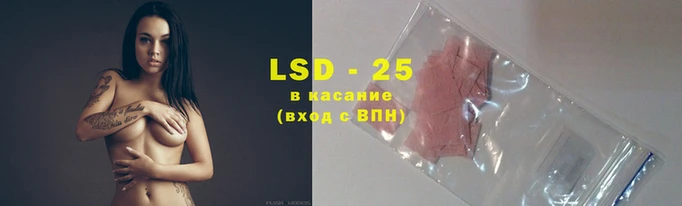 ПСИЛОЦИБИНОВЫЕ ГРИБЫ Волосово