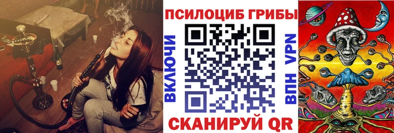 Купить закладки  Светлоград  Галлюциногенные грибы мухоморы 