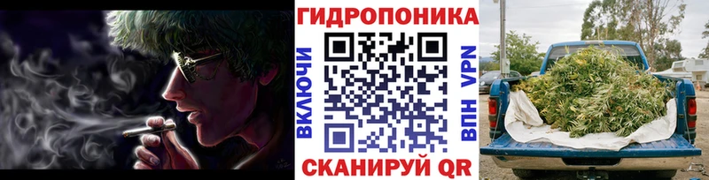 Конопля сатива  Купить закладки  Светлоград 